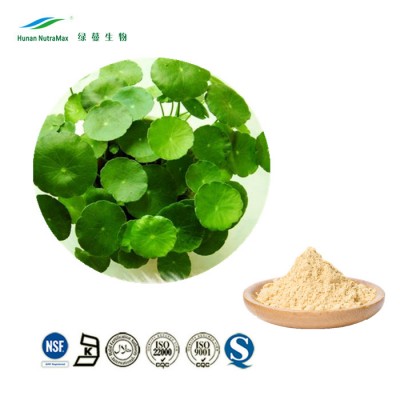 Plant Extract Asiaticoside 90% Centella Asiatica Extract Gotu Kola Extract Powder