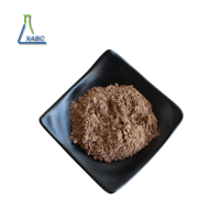 Factory supply Natural French Maritime Pine Bark Extract powder