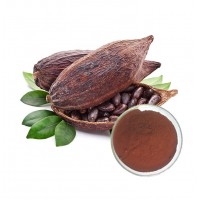 High quality natuer extract powder cocoa seed extract cocoa bean powder