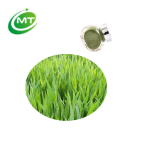 Manufacturer Supply Organic Barley Grass Juice Powder organic barley grass powder barley grass powder