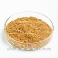 High Quality Epimedium Extract Icariin purity 50% 60% 80% 98% Health food plant extract