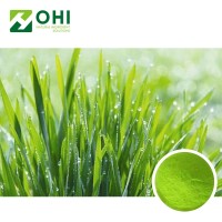 High quality organic barley grass powder freeze-dried barley grass powder barley grass juice powder