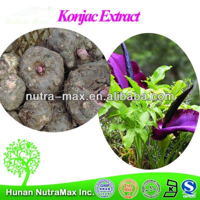 2014 Nutramax Supply Organic Amorphophallus Konjac Root Powder Glucomannan 90% 95%