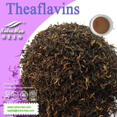 NutraMax - Theaflavins 10~60% Theaflavins (HPLC)/black tea