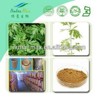 NutraMax Supply-Mugwort Extract/Mugwort Extract Powder/Mugwort Extract 4:1