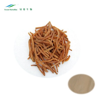 Red Ginseng Extract Ginsenosides Red Ginseng Extract Powder