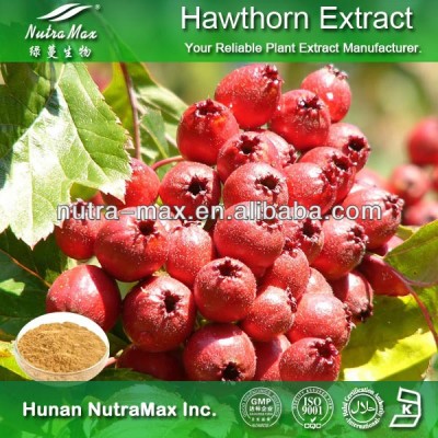 1kg Plant Hawthorn Fruit Extract (Latin Name: Crataegus Pinnatifida Bge)