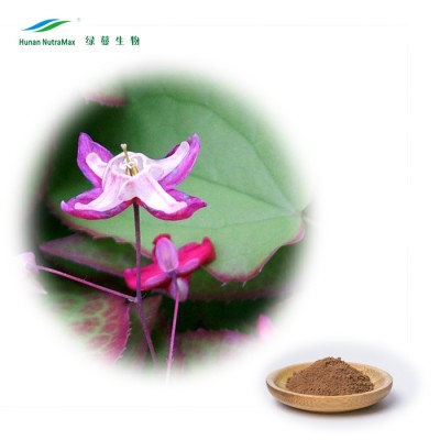 Sex Medicine Epimedium Extract High quality China Supplier Icariin 50% 60% 80% 98%