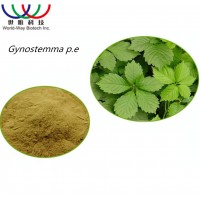 Waimaotong Chinese golden supplier natural gynostemma pentaphylla powder with 98% total gypenosides UV gynostemma p.e