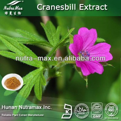 100% Pure High Quality Herba Geranii Extract Powder (4:1 5:1 10:1 20:1)