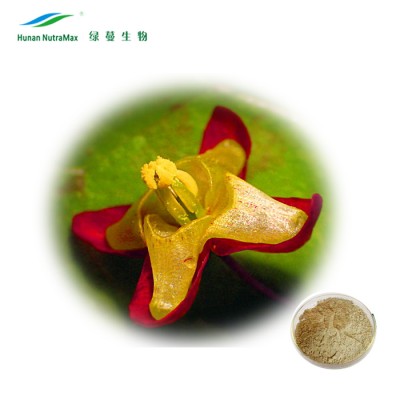 Epimedium Plant Extract Herbal Extract Supplement 4:1 5:1 10:1