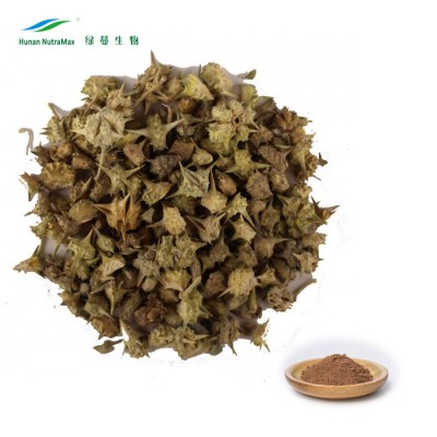 Tribulus Terrestri Extract Protodioscin 90 Saponins