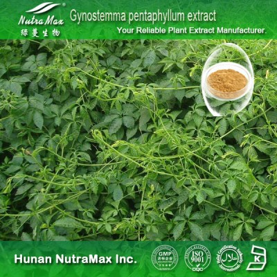 cGMP Factory supply - gynostemma extract jiaogulan ,gynostemma pentaphyllum extract,gynostemma powder extract