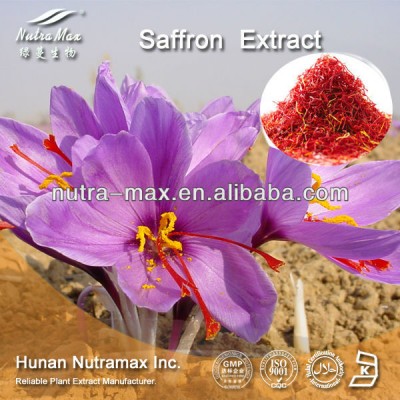 Manufacturer Supply High Quality Saffron Extract powder/ Safranal /Carthamus tinctorius./Crocus Sativus L.