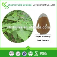 Factory Bulk Supply Paper mulberry bark extract powder