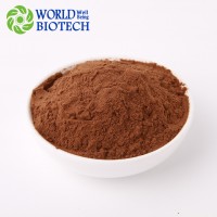 100% Natural Low Price Water Soluble 5%Cinnamaldehyde Cinnamon Bark Extract/Cinnamon Extract/Cinnamon Extract Powder