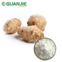 High Quality Food Grade ISO Certification Chicory Root Extract 90% 95% Inulin Powder