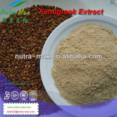 Fenugreek Seed Extract, Fenugreek Seed Powder, Fenugreek Seed Extract Manufacturer