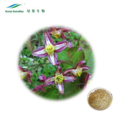 Made In China Epimedium Leaf Extract Icariin 98% / Icariin 60% / Icariin 40%