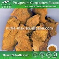 Pure Polygonum Cuspidatum Extract Resveratrol 98%(CAS NO.:501-36-0)