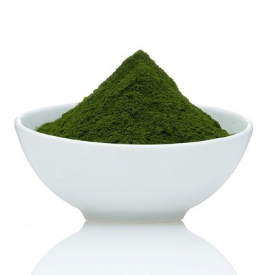 China Supplier Green Young Barley Grass Powder with free samples