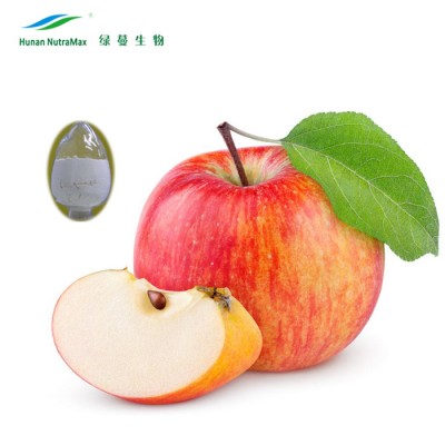 Health Food Apple Fruit Juice Concentrate Powder 4:1 5:1 10:1