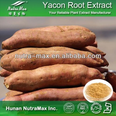 Plant Herbal Yacon Root Extract