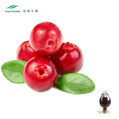 Natural Cranberry Extract Anthocyanidins Powder 25%, 10%-50% Proanthocyanidins with Best Quality