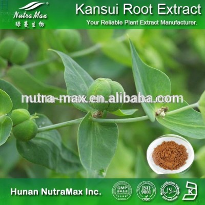 Radix Kansui Extract / Radix Kansui Extract Powder / Radix Kansui Powder