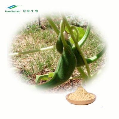 Natural Devils Claw Extract Powder 1.5~5% Harpagoside HPLC, UV CAS No:19210-12-9