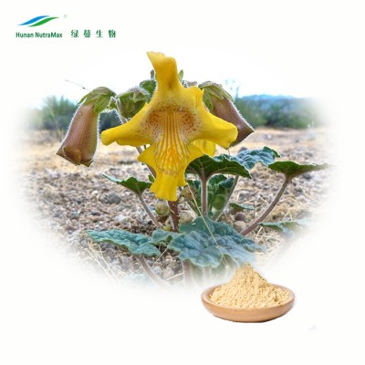 Natural Devils Claw Root Extract