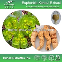 High Quality Kansui Root Extract Powder 5:1 10:1 20:1--NutraMax Supplier