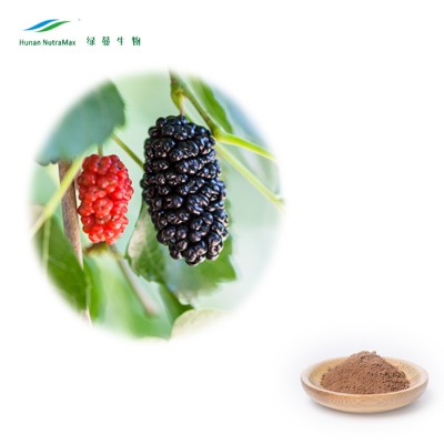 Plant Extracts Factory Nutramax Mulberry Leave Extract Powder