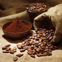 KOSHER HACCP FDA factories offer OEM for brands of cocoa powder,extract from cocoa bean,favorable price for cocoa beans buyers